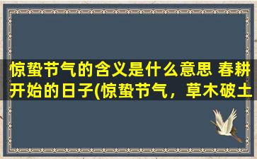 惊蛰节气的含义是什么意思 春耕开始的日子(惊蛰节气，草木破土生长，生机盎然)